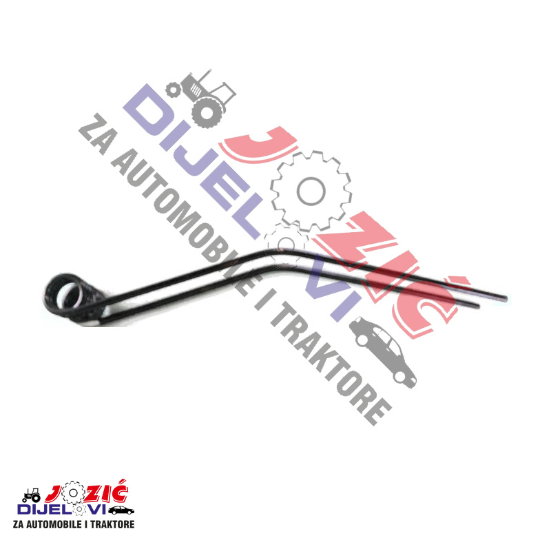 Daisy on the Ohoopee